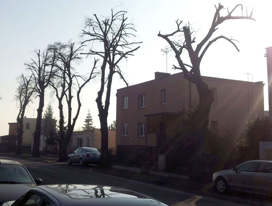 W Gryfinie wygląda masakrycznie – ocenia czytelnik W Gryfinie wygląda masakrycznie – ocenia czytelnik