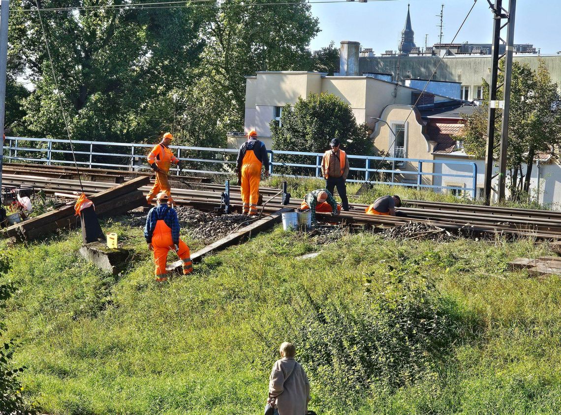 W Gryfinie wymieniają podkłady kolejowe. Pociągi pomkną szybciej na Nadodrzance