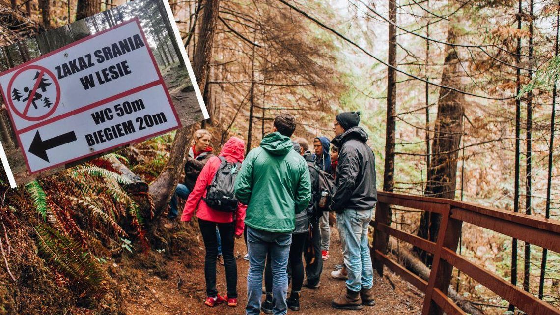 Wulgarny znak w lesie. Co mówią leśnicy o załatwianiu się w lesie Wulgarny znak w lesie. Co mówią leśnicy o załatwianiu się w lesie