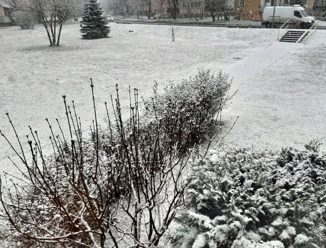 W marcu jak w garncu. Zamiast przedwiośnia, wróciła zima W marcu jak w garncu. Zamiast przedwiośnia, wróciła zima