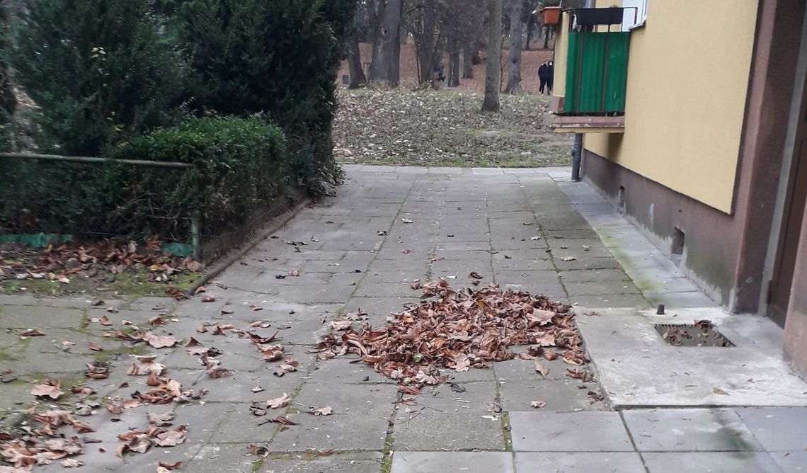 W TBS ta sama śpiewka o pandemii, a śmieciowisko fruwa po ulicach - żali się czytelnik W TBS ta sama śpiewka o pandemii, a śmieciowisko fruwa po ulicach - żali się czytelnik