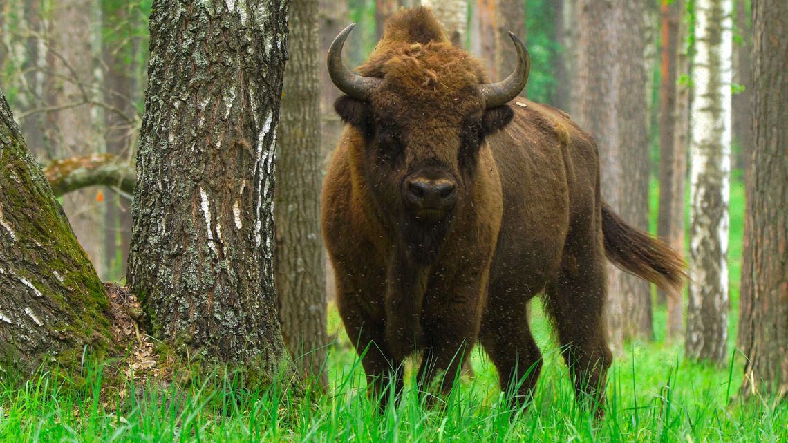 W te wakacje większość z nas wybrała nasz kraj. Aura nie popsuła wypoczynku