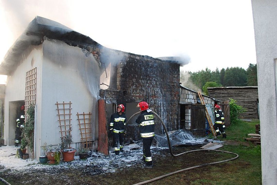 Walczyli z ogniem, wodą i osami