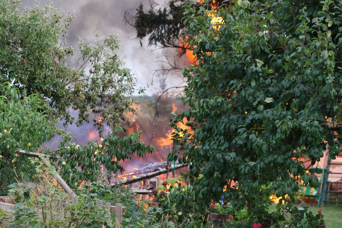 Walczyli z pożarem na terenie ogródków działkowych [FOTO, WIDEO]