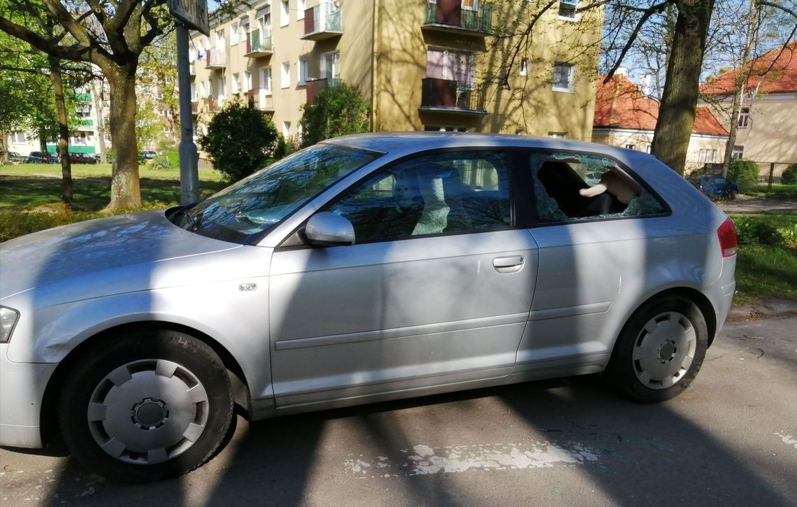 Wandal wybił szybę w aucie niepełnosprawnego. Chciał ukraść... maskotkę? Wandal wybił szybę w aucie niepełnosprawnego. Chciał ukraść... maskotkę?