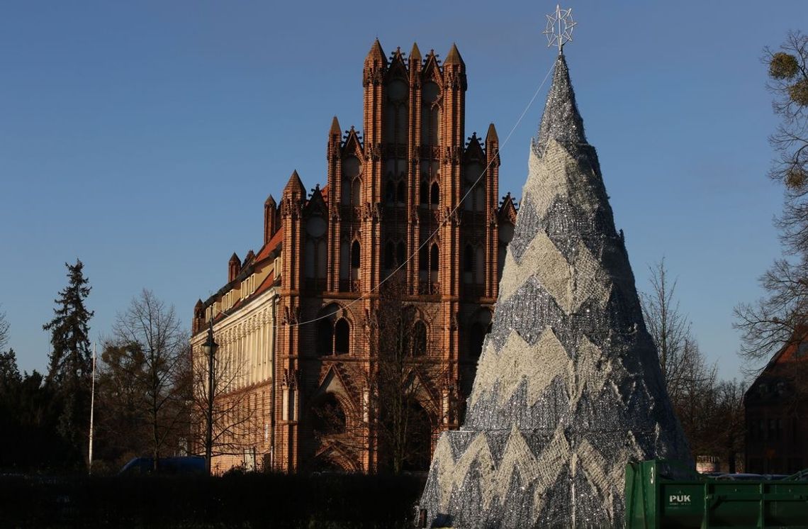 Wandale zniszczyli choinkę. Kto chciał ukraść gwiazdę Wandale zniszczyli choinkę. Kto chciał ukraść gwiazdę