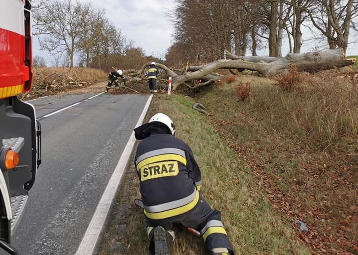 Wichura wyrządziła szkody. Czasowe zatory na drodze Wichura wyrządziła szkody. Czasowe zatory na drodze