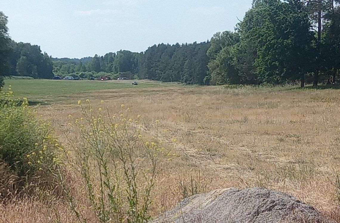 Wielka akcja służb mundurowych pod Gryfinem