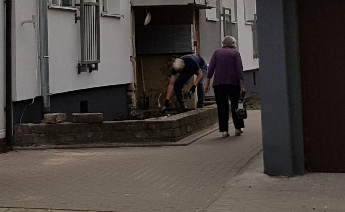 Wiemy jak zniknęła choinka