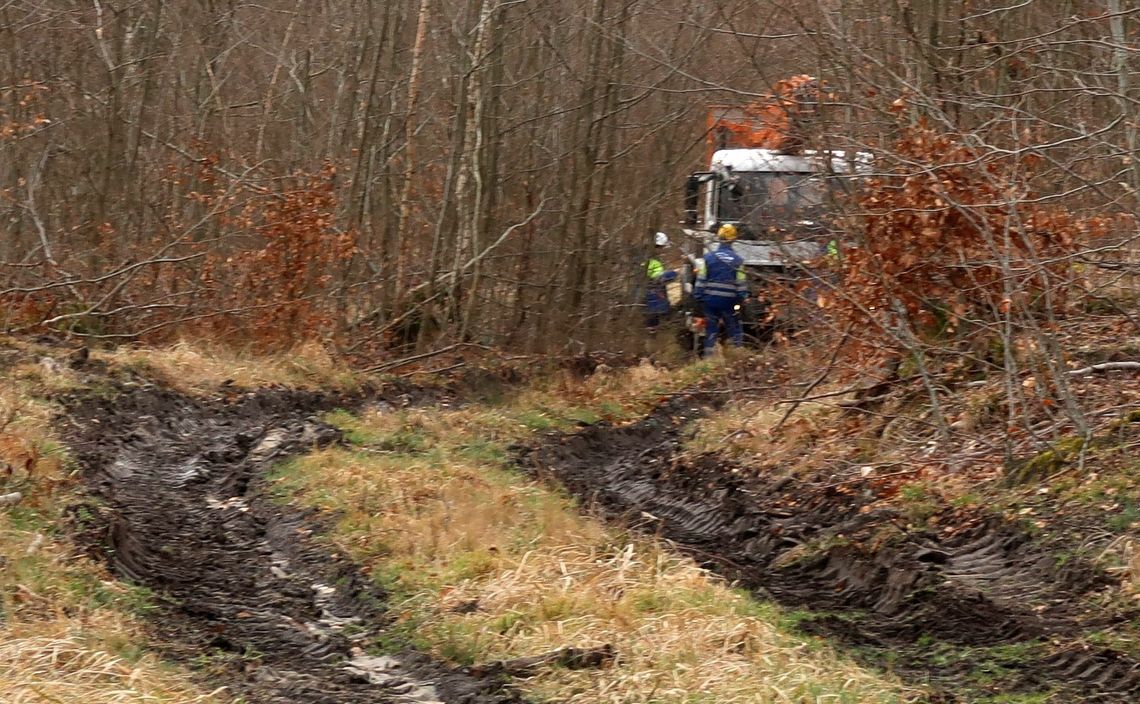 Wiemy, kiedy prąd wróci do Chojny oraz miejscowości w gm. Mieszkowice, Trzcińsko, Moryń i Cedynia