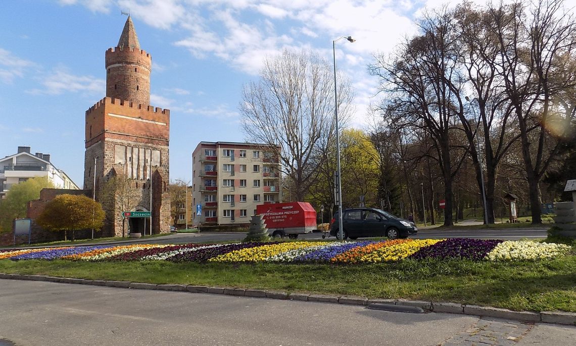 Wiosennie i bratkowo na Łużyckiej Wiosennie i bratkowo na Łużyckiej