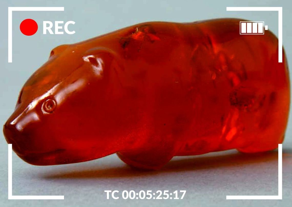 Wirtualna Noc Muzeów Wirtualna Noc Muzeów