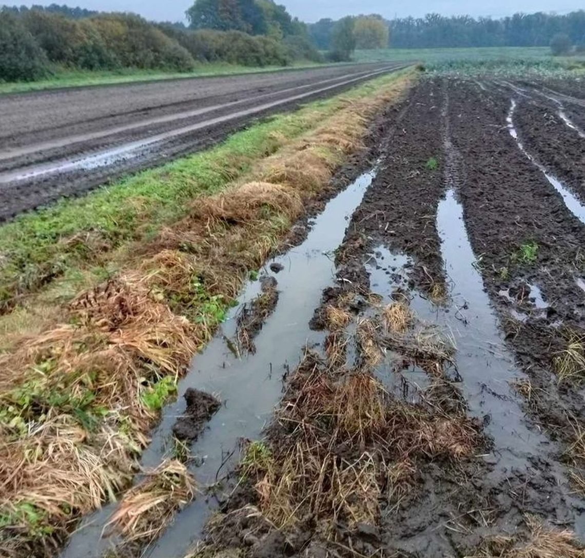Woda zalewa nam pola.  Oczyszczenia rowów nie możemy się doprosić