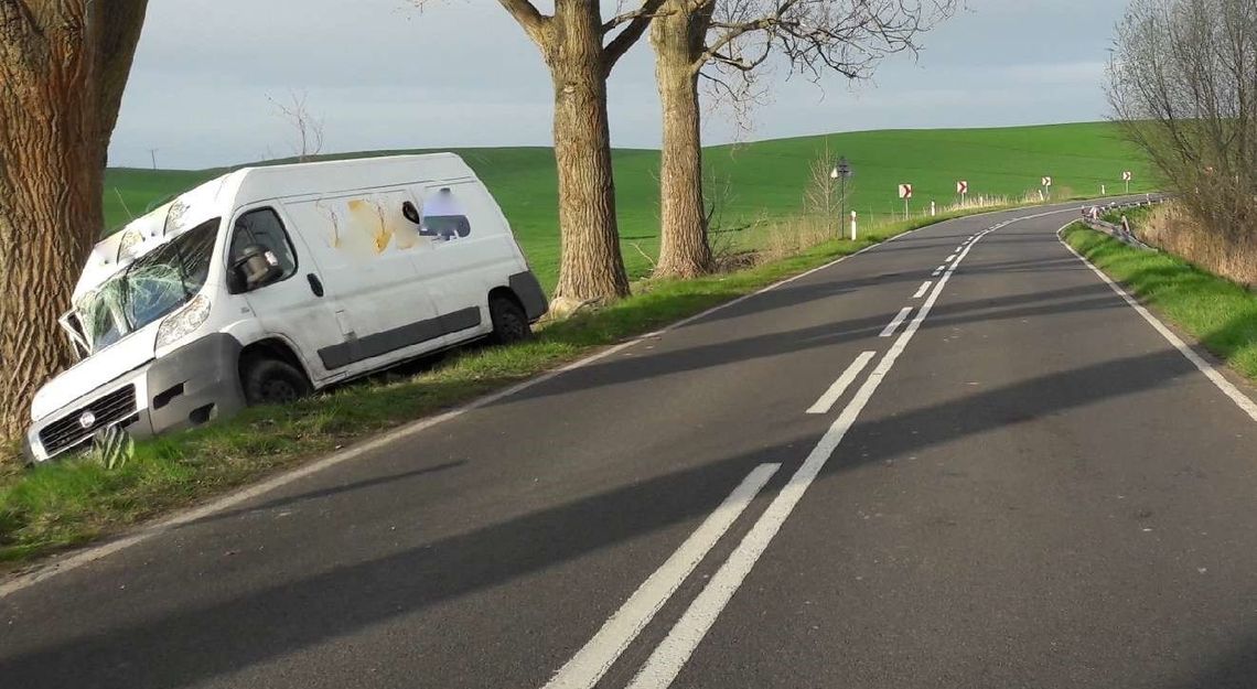 Wpadł na drzewo koło jeziora Wpadł na drzewo koło jeziora