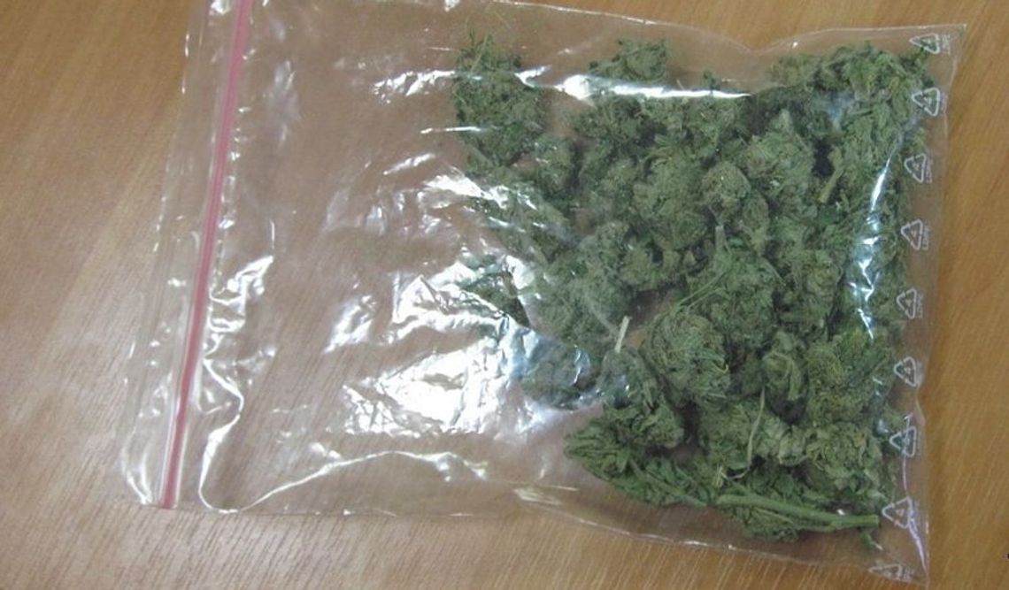 Wpadł nastolatek z narkotykami Wpadł nastolatek z narkotykami