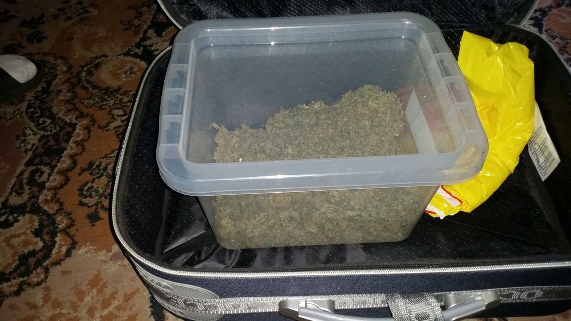 Wpadł z marihuaną i wagą Wpadł z marihuaną i wagą