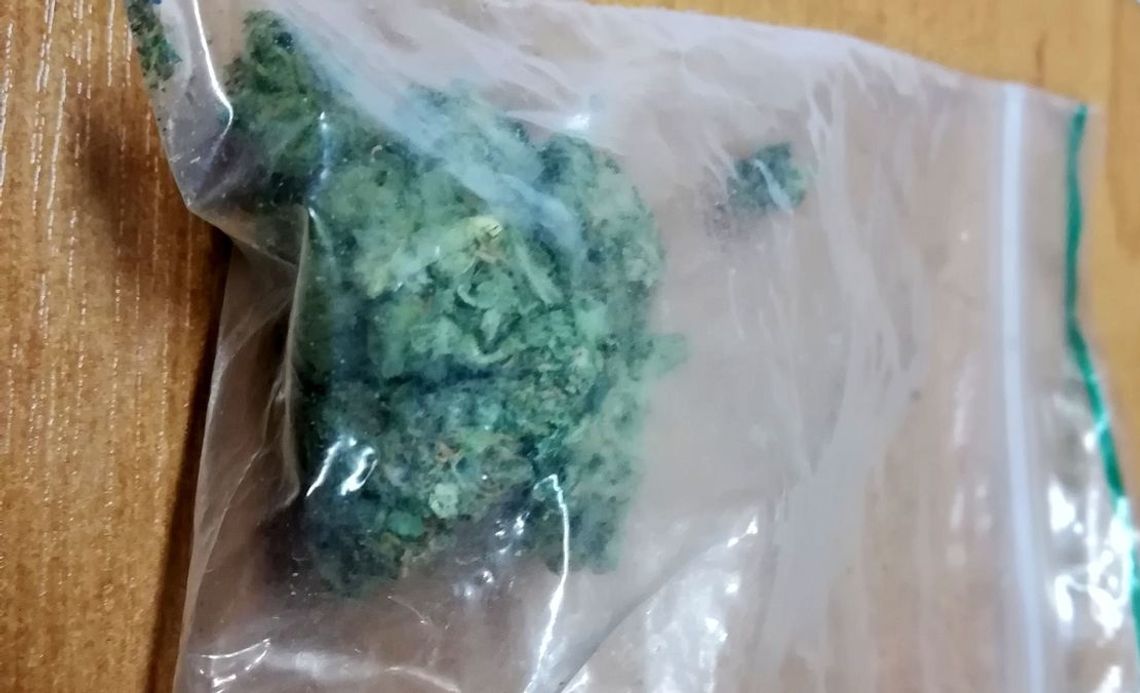 Wpadła z kilkoma działkami marihuany Wpadła z kilkoma działkami marihuany