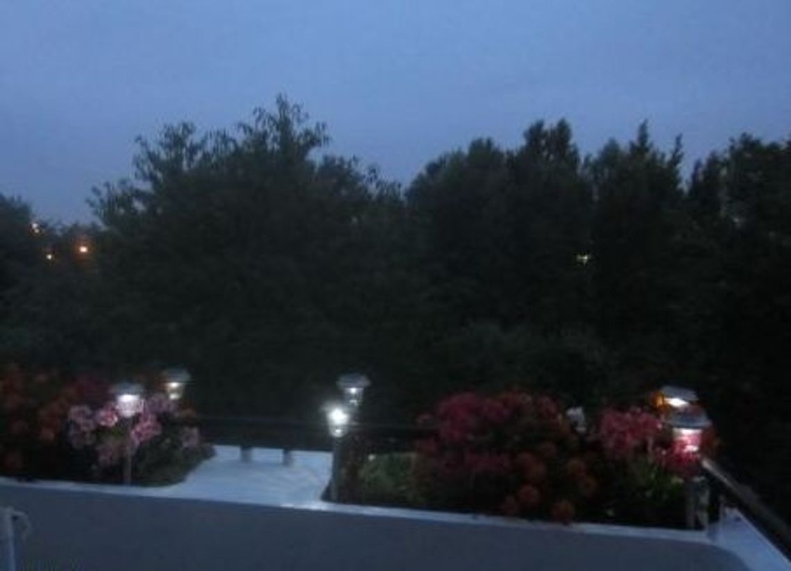 Wpadli trzej działkowi złodzieje Wpadli trzej działkowi złodzieje