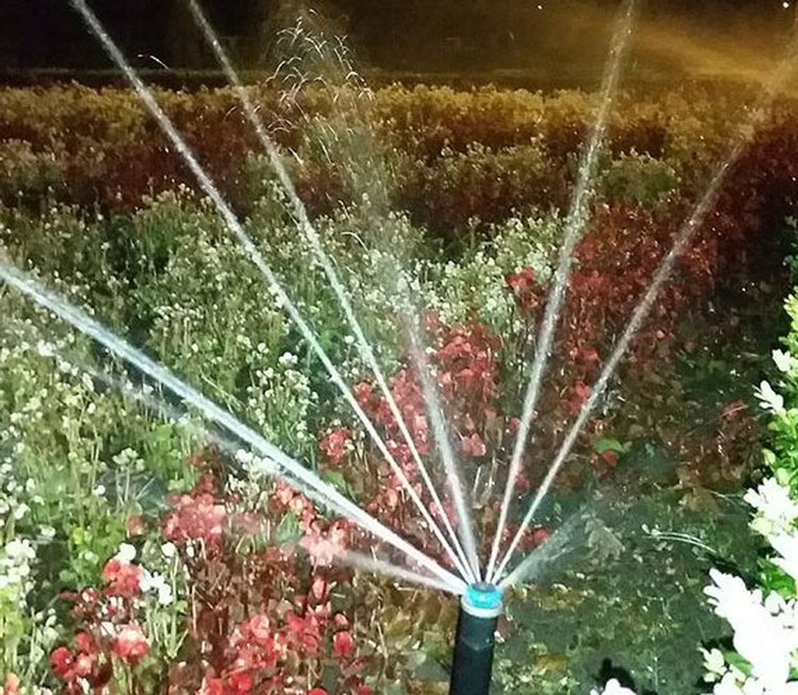 Wracają upały. Jak sobie radzić Wracają upały. Jak sobie radzić