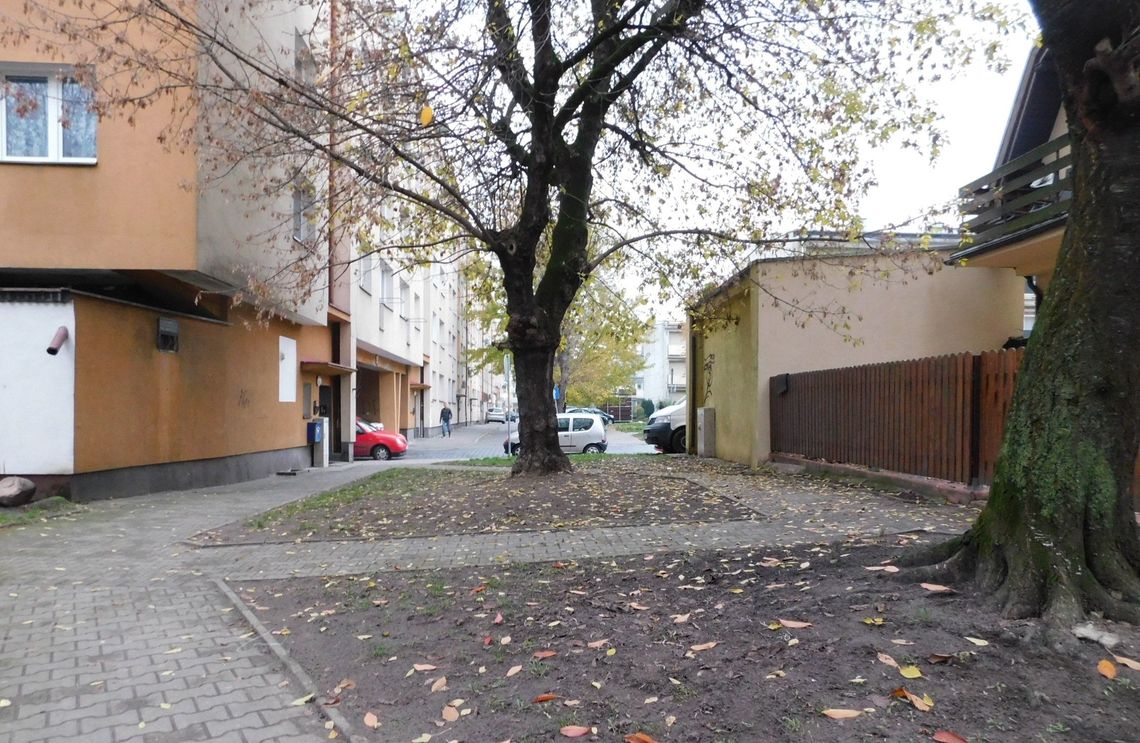 Wreszcie posprzątali [nterwencja igryfino]