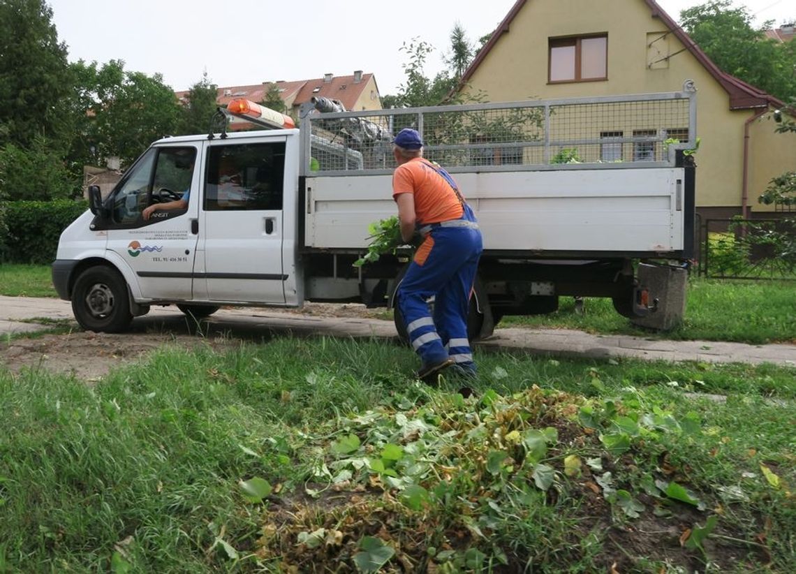 Wreszcie przycinają
