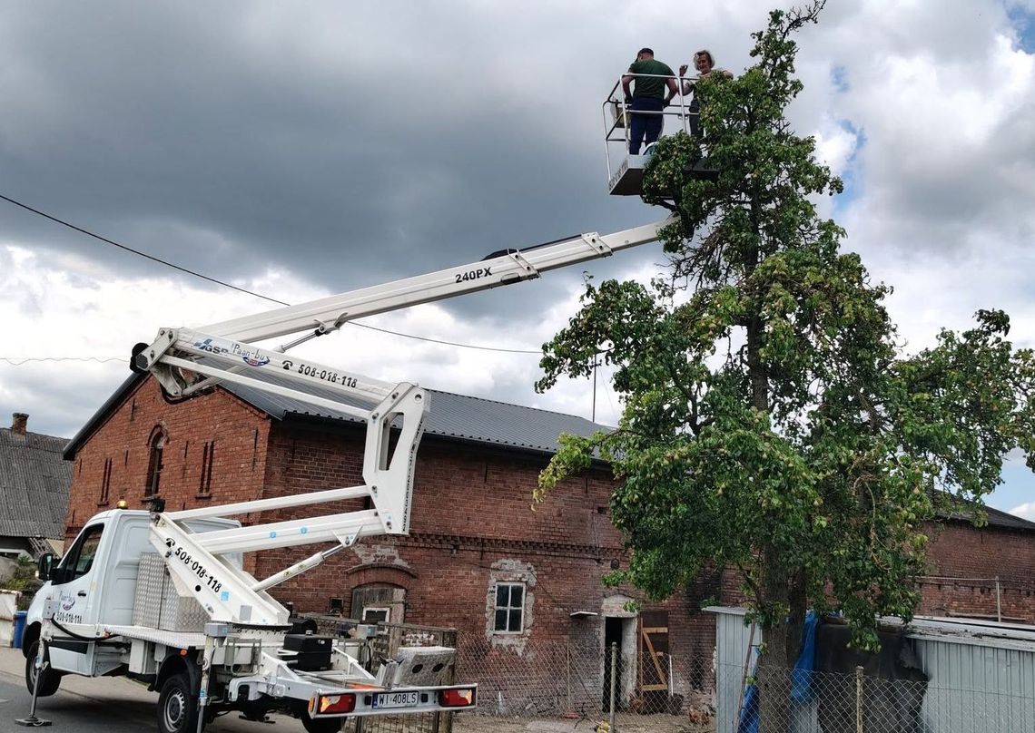 Wspólna akcja dla zwierząt - uratowali młode bociany i kota Wspólna akcja dla zwierząt - uratowali młode bociany i kota