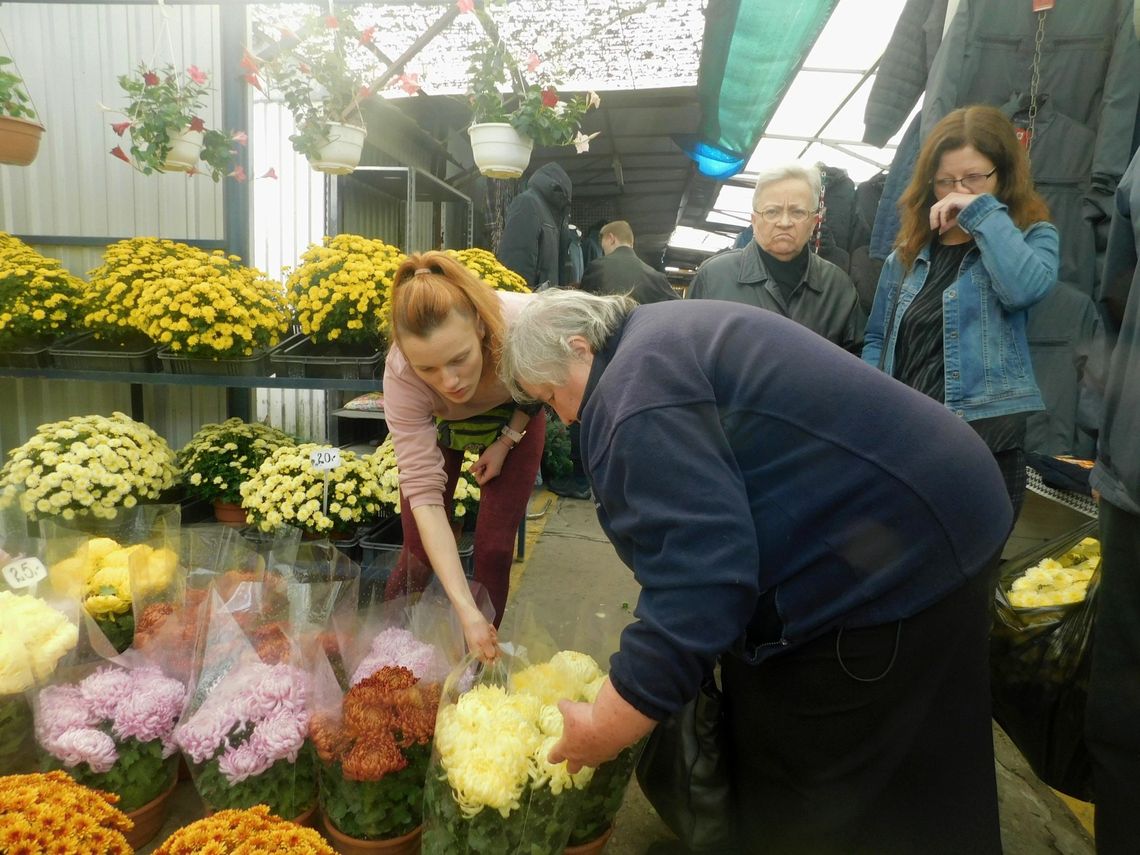 Wszystkich Świętych: po ile chryzantemy i znicze? [ZDJĘCIA]