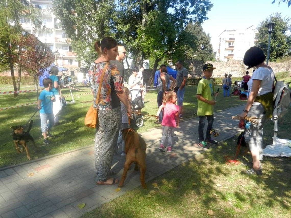 Wybieg dla psów w Gryfinie Wybieg dla psów w Gryfinie