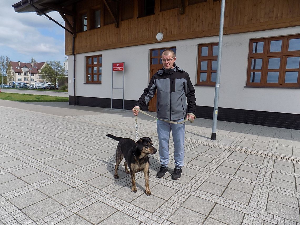 Wybierzmy się na niedzielny spacer