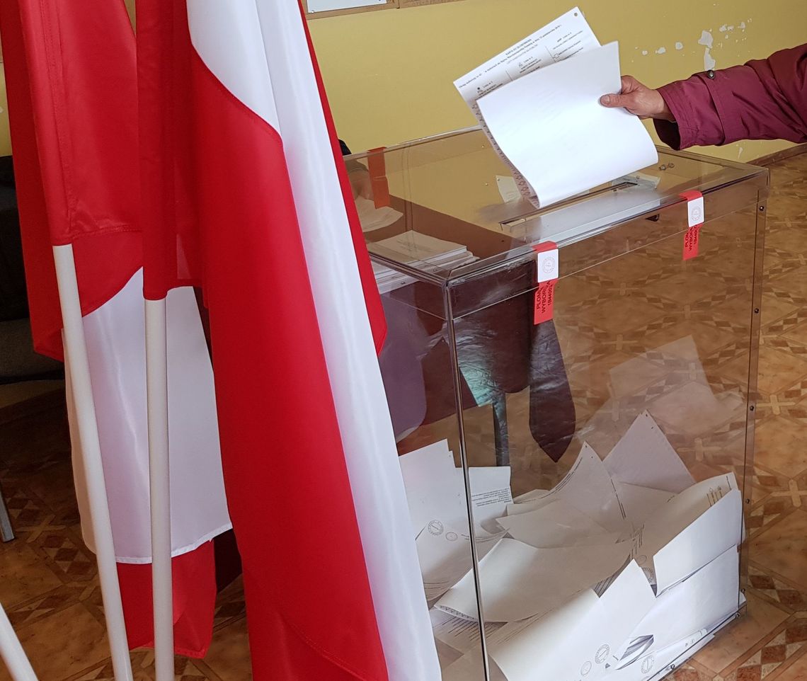 Wybory do Sejmu i Senatu 2019. Wyniki sondażowe