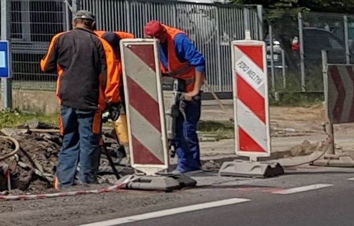 Wyciągnęli kości ludzkie. Czy genetycy sądowi wyjaśnią sprawę? Wyciągnęli kości ludzkie. Czy genetycy sądowi wyjaśnią sprawę?