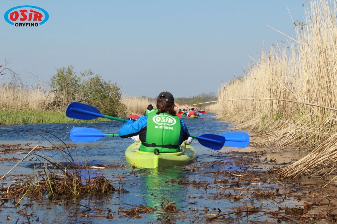 Wycieczka kajakowa po Międzyodrzu na rozpoczęcie wakacji Wycieczka kajakowa po Międzyodrzu na rozpoczęcie wakacji