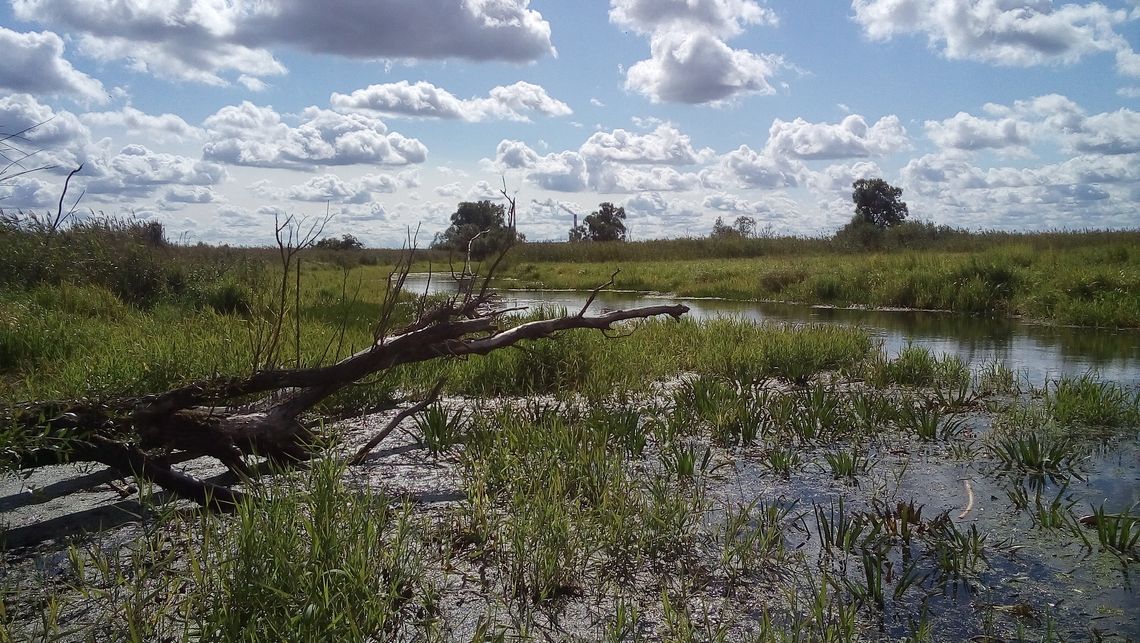 Wycieczka kajakowa po Międzyodrzu - ostatnie wolne kajaki