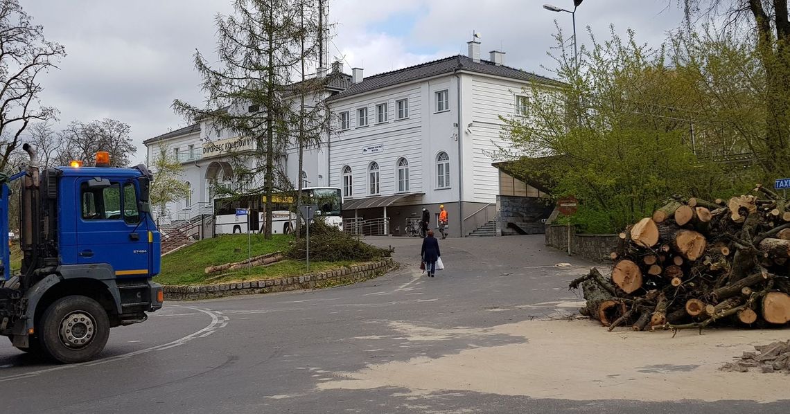 Wycinają drzewa na potęgę Wycinają drzewa na potęgę