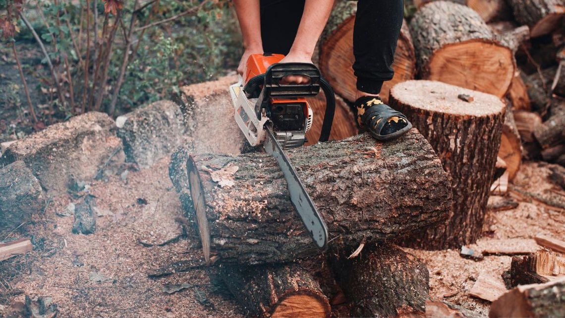 Wycinanie drzew na swojej ziemi ma być prostsze. Jest propozycja, ale i protest