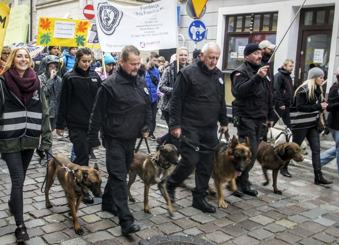 Wyeliminujemy narkotyki i dopalacze z polskich szkół Wyeliminujemy narkotyki i dopalacze z polskich szkół