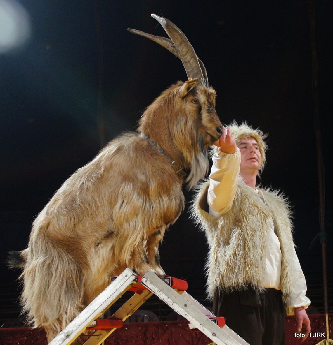 Wygraj bilet do cyrku! Wygraj bilet do cyrku!