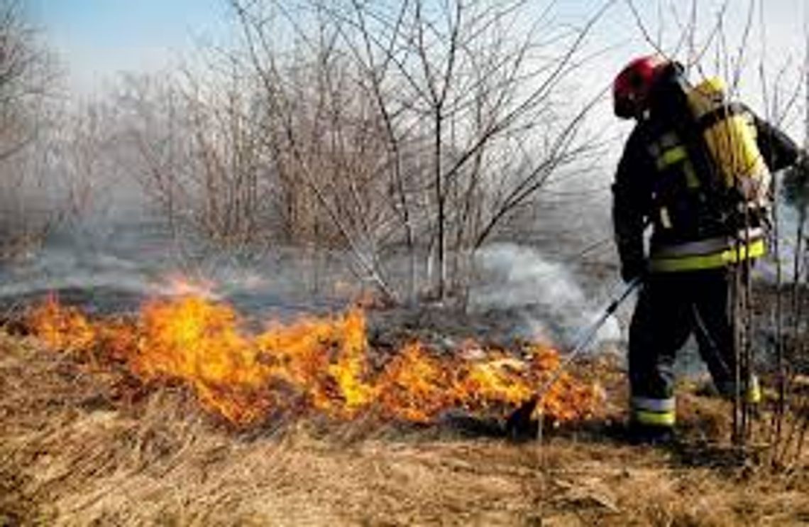 Wyjeżdżali do akcji sześćdziesiąt dwa razy