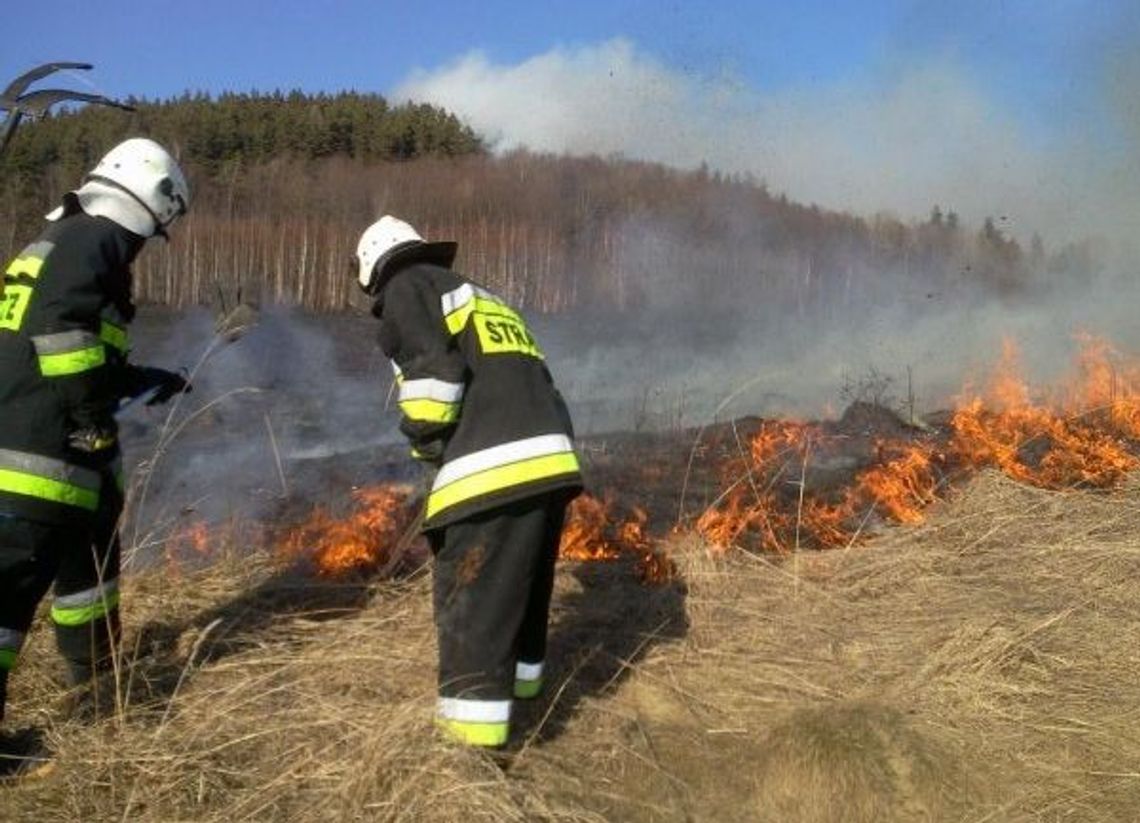 Wyjeżdżali nawet 10 razy jednego dnia