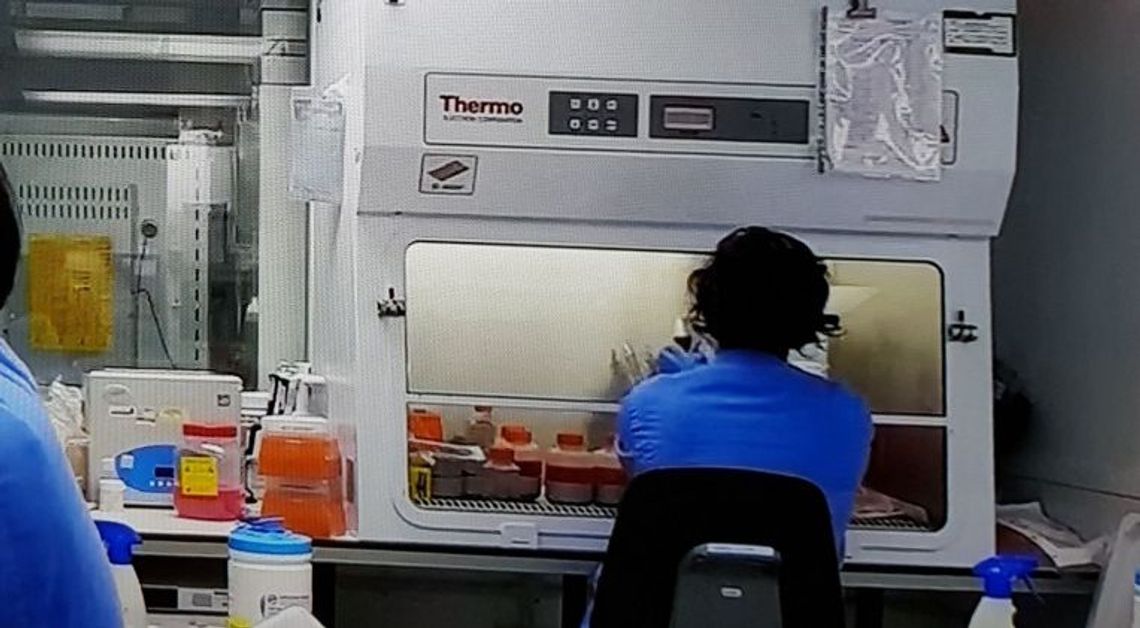 Wynik epidemiologiczny jest dobry, ale czy pełny? Wynik epidemiologiczny jest dobry, ale czy pełny?