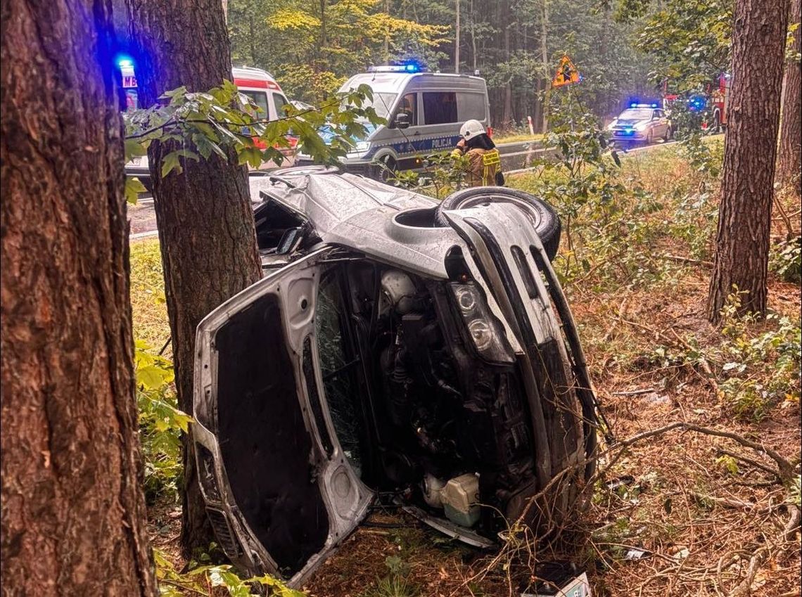 Wypadając z drogi wjechała w las. Zatrzymała się na drzewie i dostała mandat