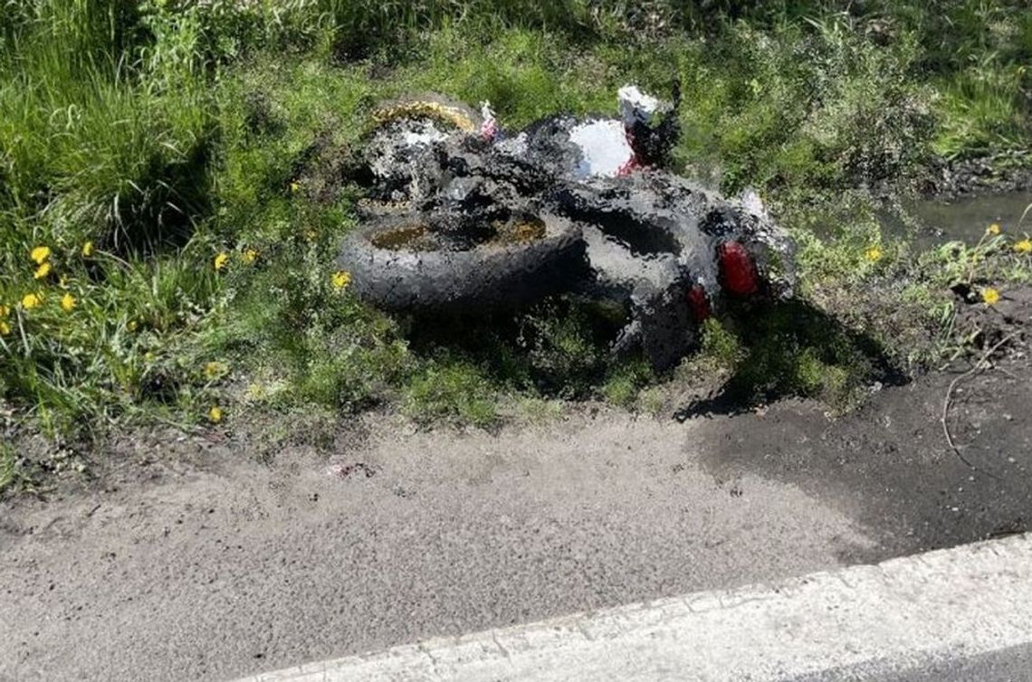 Wypadek Motocyklisty Jak Z Horroru Drzewo Zaatakowało Motocyklistę 6082