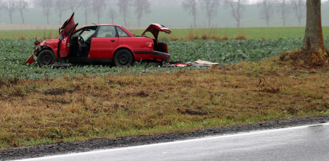 Wypadła z drogi, zahaczyła o drzewo i zatrzymała się w polu Wypadła z drogi, zahaczyła o drzewo i zatrzymała się w polu