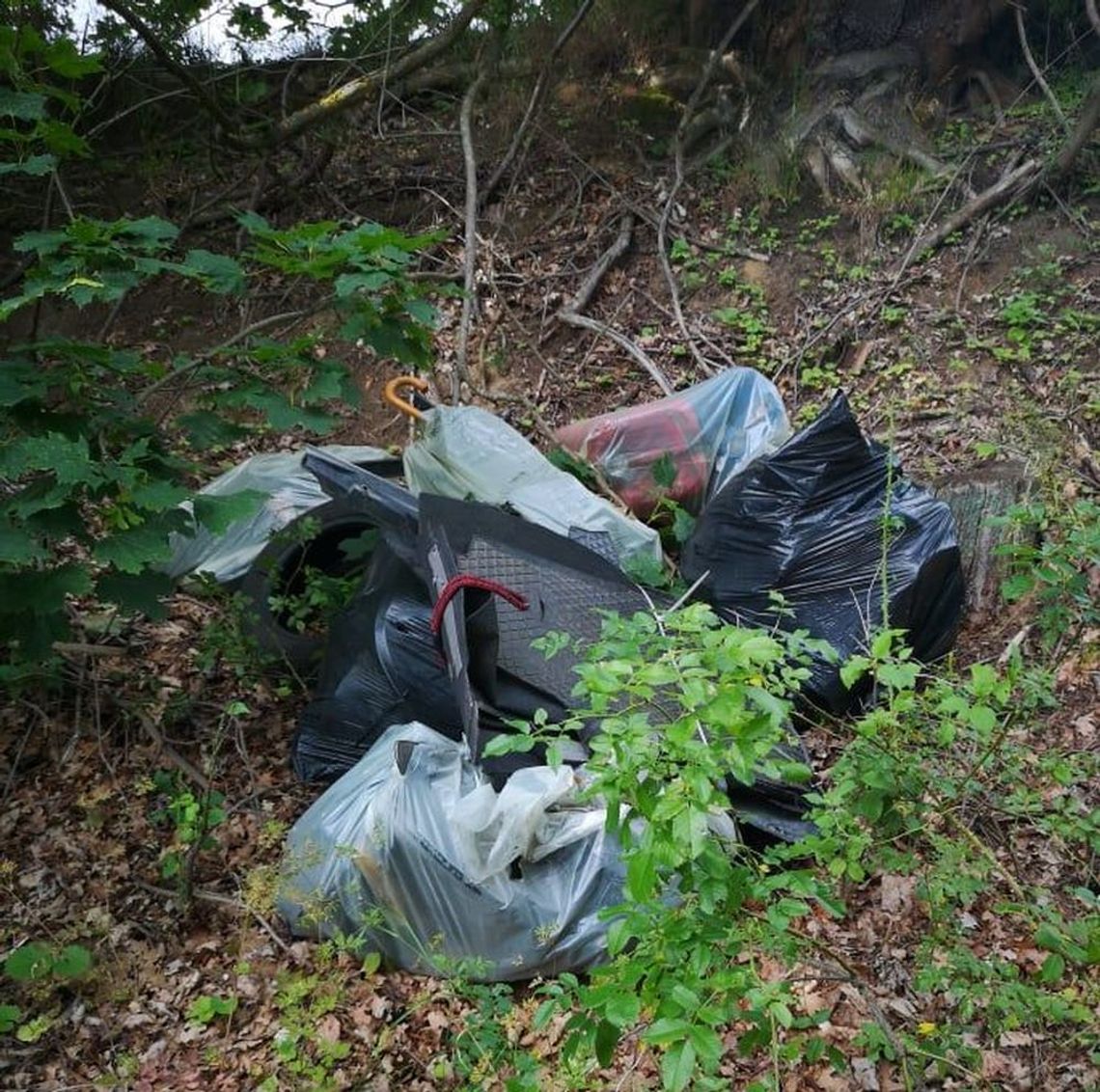 Wyrzucił śmieci przy drodze Wyrzucił śmieci przy drodze