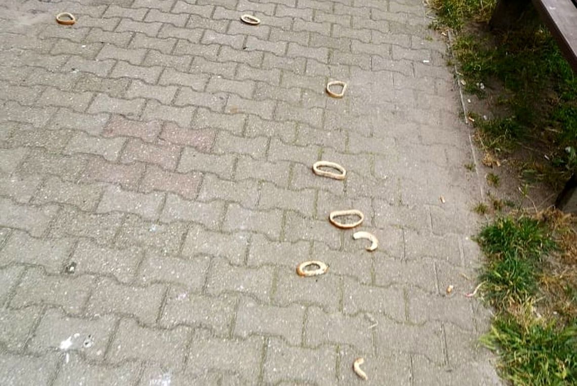 Wyrzucono chleb na chodnik przed blokiem