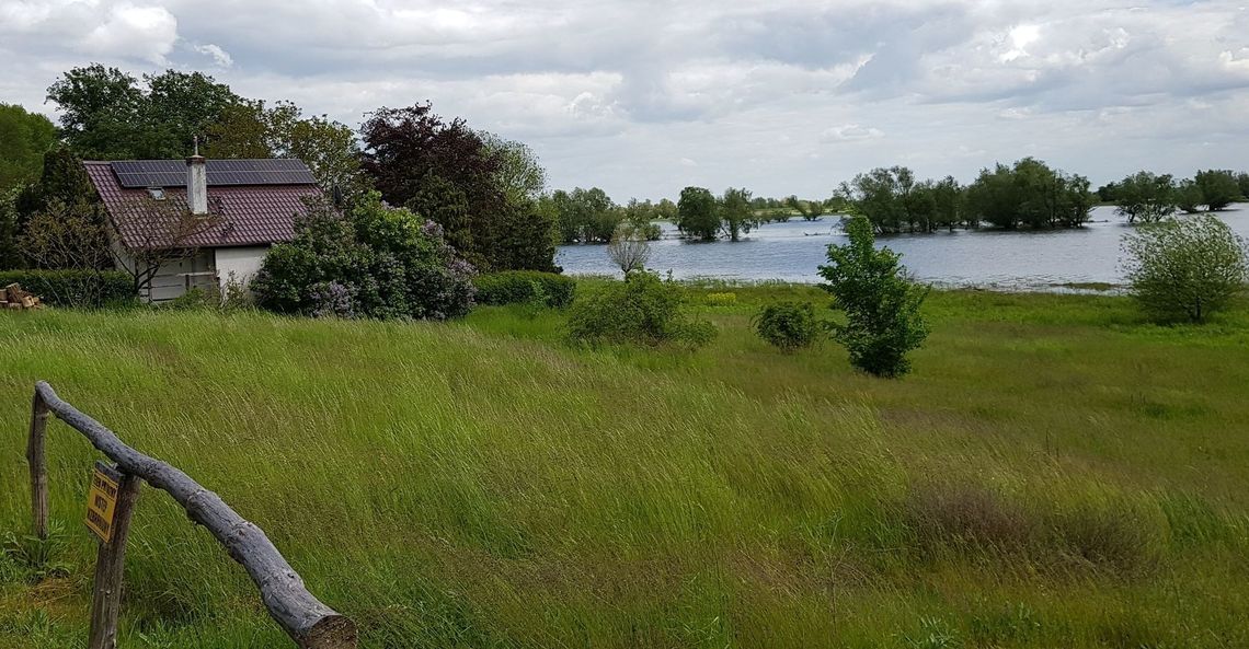 Wysoki stan wody na Odrze [FOTO, WIDEO]