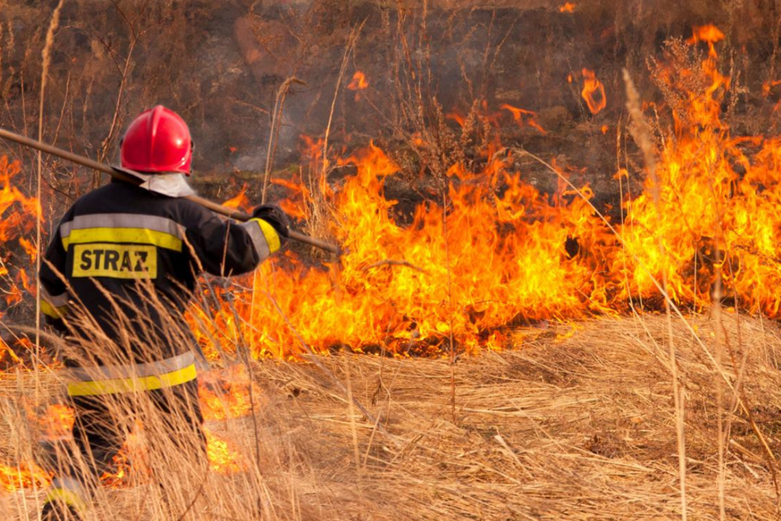 Takie mandaty za palenie śmieci i wypalanie traw