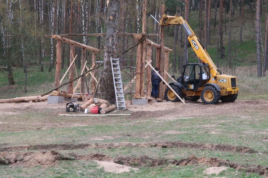 Wytną drzewo aby postawić… gród