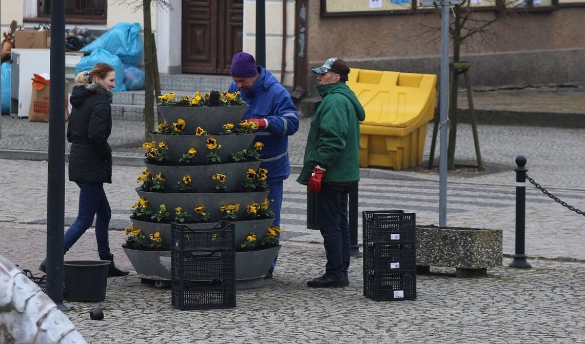 Wywołują wiosnę Wywołują wiosnę