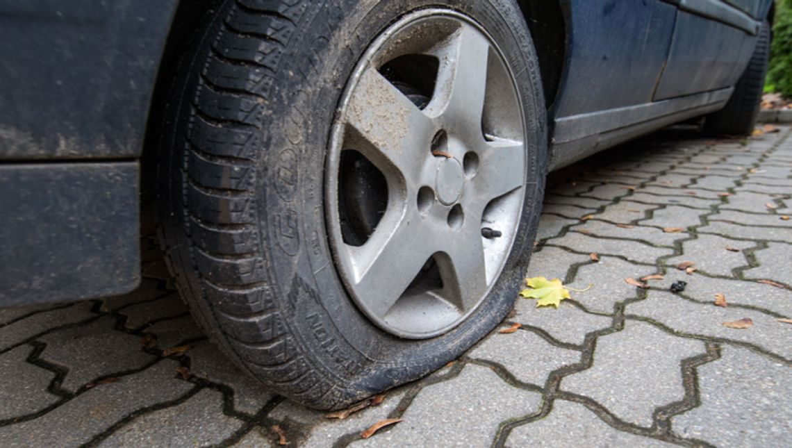 Wyżył się na Mieszka I